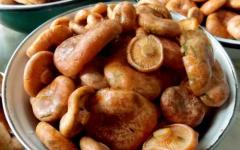 Сохранение полезных свойств грибов: виды обработки рыжиков