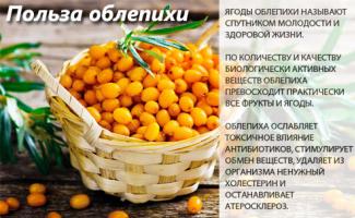 Sea buckthorn (berries, juice, leaves): composition, medicinal, beneficial properties and contraindications