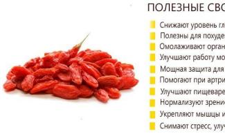 Goji berries: beneficial properties and contraindications, application, photo The effect of goji berries on the body