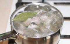 Cara memasak ampela ayam dalam krim asam