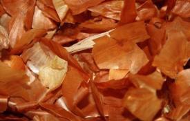 Onion peels for the garden and garden: beneficial properties and applications