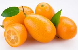 Buah kumquat segar, kering dan kering - jenis buah apa dan bagaimana cara memakannya?