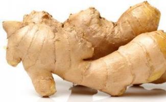 Ginger: properties, composition, recipes Use of ginger in medicine