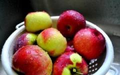 Сушеные яблоки: польза и вред, сушка в домашних условиях
