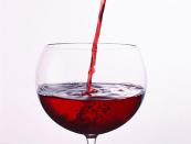 Anggur buatan sendiri dari ashberry merah Anggur dari abu gunung