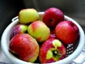 Сушеные яблоки: польза и вред, сушка в домашних условиях