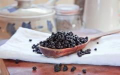 Cara terbaik memanen blueberry dan cara mengeringkannya dengan benar Cara mengeringkan blueberry di pengering