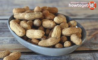 Mengapa kita menyukai kacang tanah: manfaat dan bahaya kacang favorit kita Terbuat dari apakah kacang tanah?