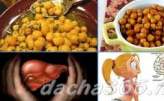 Chickpeas: health benefits and harm, recipes